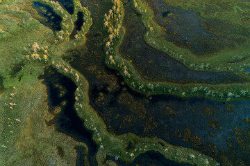 An aerial of summery aapa bog in Hossa region, Northern Finland