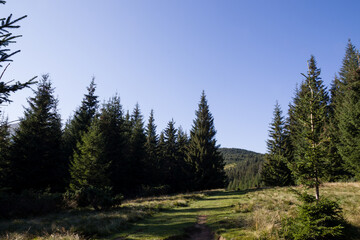 mountain peaks in hot summer