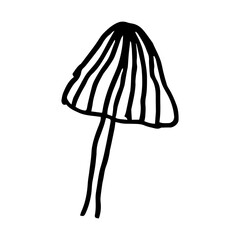 mushroom cute doodle hand drawn illustration design