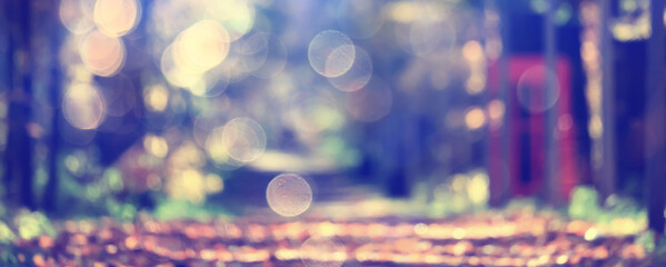 fall park view decoration, wallpaper autumn yellow season