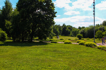 Flat meadow with green grass and lush trees