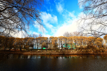 yellow tree crown background top, fall leaves majestic