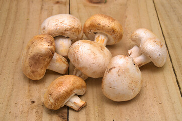 mushrooms on a wooden board