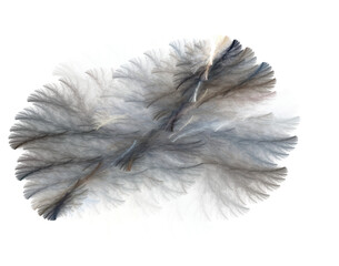 Fractal shape imitating an explosion, wool, twigs