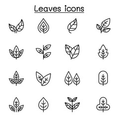 Leaf icon set in thin line style