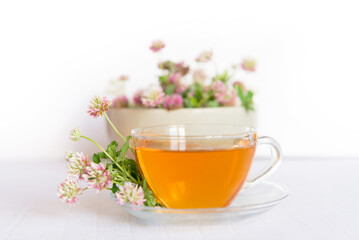 Clover herbal tea on a light pastel background. copy space	