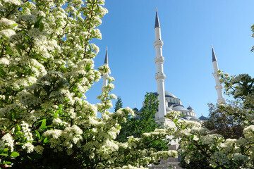 Obraz premium kocatepe Mosque in springtime - Ankara, Turkey