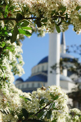 kocatepe Mosque in springtime - Ankara, Turkey