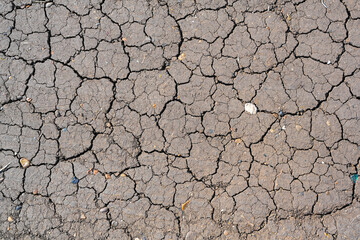 Dry mud cracked ground texture. Drought season background. Dry and cracked land, dry due to lack of rain. Effects of climate change.
