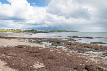 Garretstown Beach in County Cork, Ireland