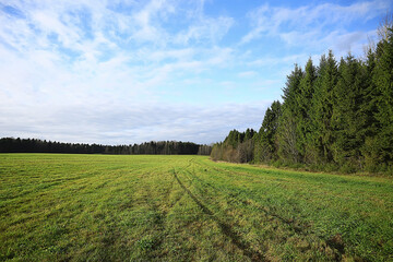 Fototapeta na wymiar summer road in the field landscape nature meadow