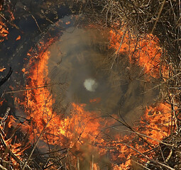 fire frame round fire burning panorama wildfire