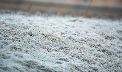The beginning of winter. Frost on the grass on the side of the road. Frosts in winter. Road conditions.