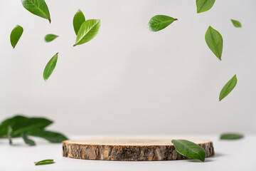 Wood slice podium and green flying leaves on white background. Concept scene stage showcase for new product, promotion sale, banner, presentation, cosmetic. Wooden stand studio empty - obrazy, fototapety, plakaty