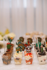 Tequila party, decoration, sweets, celebration