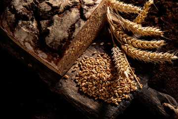 bread, wheat  and grain on bord