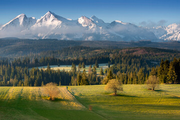 Tatra Mountains. View from the pass over Łapsznka. Mountains, meadows, fields, summer, Poland. Belianske Tatras. Tatry. Widok z Przełęcz nad Łapsznką. Góry, łąki, pola, Polska. Tatry Bielskie. Spisz