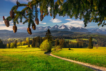 Tatra Mountains. View from the pass over Łapsznka. Mountains, meadows, fields, summer, Poland....