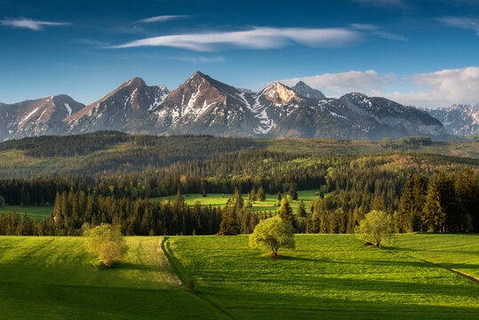 Fototapeta Tatra Mountains. View from the pass over Łapsznka. Mountains, meadows, fields, summer, Poland. Belianske Tatras. Tatry. Widok z Przełęcz nad Łapsznką. Góry, łąki, pola, Polska. Tatry Bielskie. Spisz