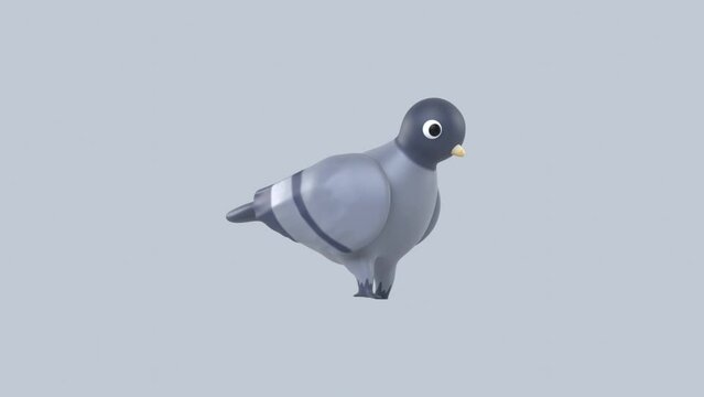 3D dove Animation Animal 