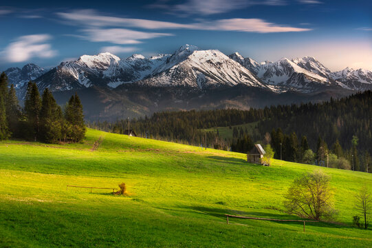 Fototapeta A view of the Tatra Mountains, meadows, pastures, from Polana Szymkówka, near Głodówka. Spring, Poland. Widok na Tatry, góry, łąki, hale, z Polany Szymkówka, koło Głodówki. Wiosna, Poland, Podhale 