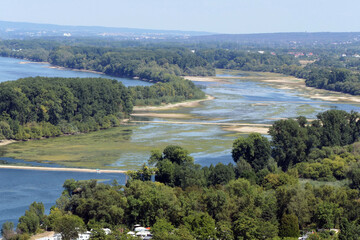 Seitenarm des Rheins bei Bingen