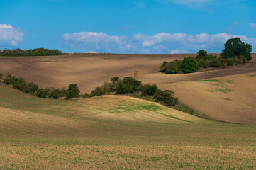 Obraz premium Landscape, Moravské Slovácko, field, tree