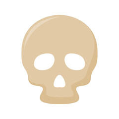 Skull isolated on white background
