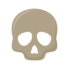 Skull isolated on white background