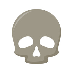 Skull isolated on white background