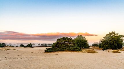 Sunrise over the sand dunes - obrazy, fototapety, plakaty