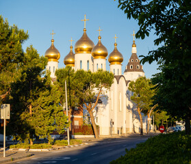 details of the saint mary magdalene russian orthodox cathedral, in the city of Madrid, spain © josevgluis