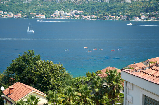Rowers, sea and red roofs