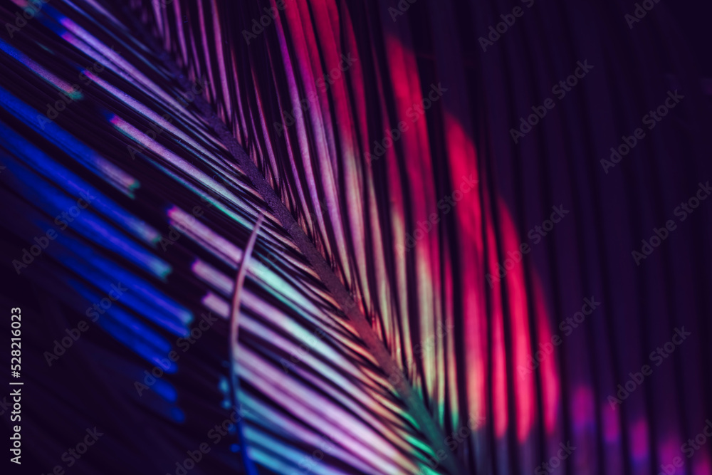 Poster close up beautiful palm leaf in colorful light. minimalism retro style concept. background pattern t