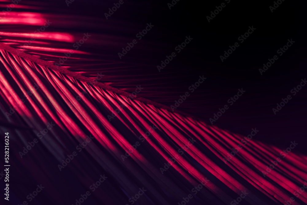 Poster close up beautiful palm leaf in red light. minimalism retro style concept. background pattern textur