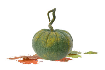 Beautiful Autumn Season