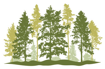 Forest, silhouette of spruce trees, pines, bushes. Beautiful nature, woodland. Vector illustration