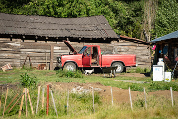 old car in the countryside