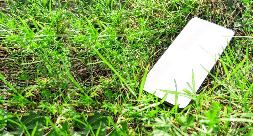 Poster phone mockup on grass. smartphone template with blank display on eco green background.