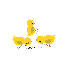 Chickens. Vector illustration isolated on white background.