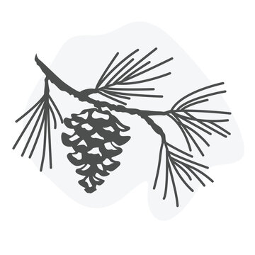 recommend clip art: pine tree branch vector sketch illustration