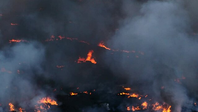 Detalle de las llamas de un gran incendio.