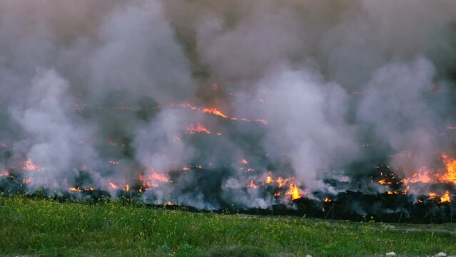 Incendio en un campo provocando una gran humareda.