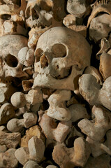 Skulls and bones in ossuary