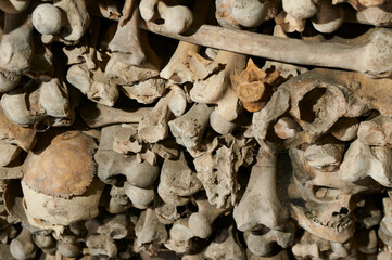 Skulls and bones in ossuary