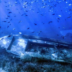 Captivating Shipwreck and Fish in Turkey - Photo of an Eerie Underwater Scene
