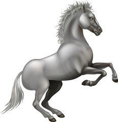 Obraz na płótnie Canvas Rearing white horse