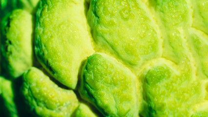 Abstract mystic background beauty nature wallpaper. Real photo close-up macro sugar custard apple annona exotic tropical fruit. Oval scaly skin texture surface rough. Bright yellow green citron color