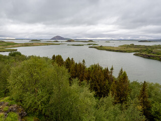 Mývatn a shallow lake situated near the Krafla volcano in an area of active volcanism in the north of Iceland. The lake and the surrounding wetlands provides a habitat for a number of waterbirds