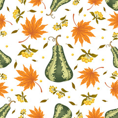 Seamless pattern with zucchini, pumpkins, berries, autumn maple leaves.Vector background.